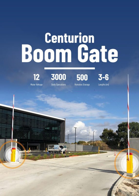 513195164_1171218408356978_7245278908094217375_n